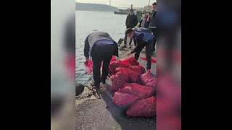 istanbulda-kacak-midye-avcilarina-aman-verilmiyor-1-ton-midye-denize-iade-edildi