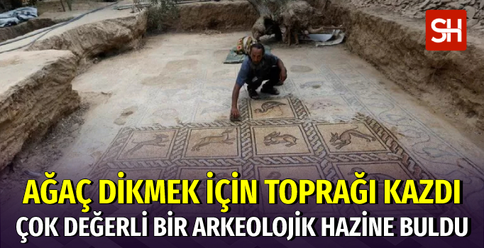 Filistinli Çiftçi Bizans Mozaiklerini Buldu