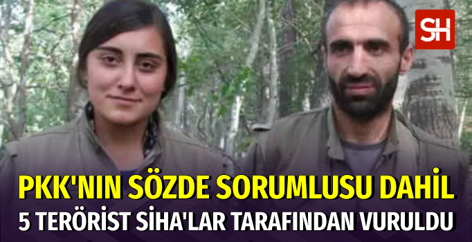 Kırmızı Bültenle Aranan PKK'nın Sözde Sorumlusu Öldürüldü