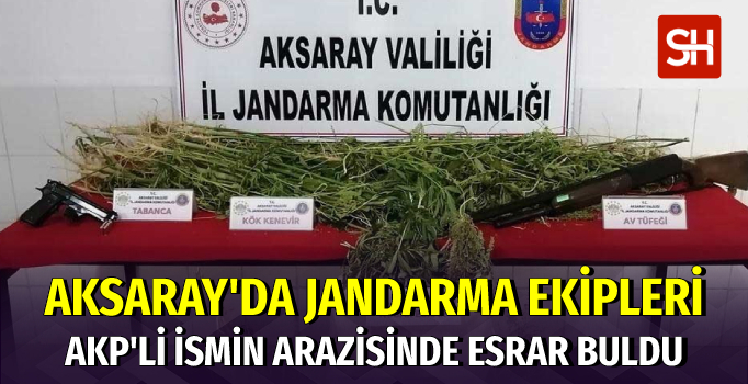 AKP'li İsmin Arazisine Esrar Operasyonu