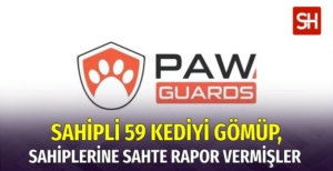 paw-guardsin-sahipli-59-kedinin-olusunu-cop-posetlerine-koyup-gomdugu-ortaya-cikti