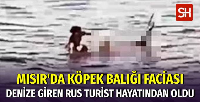 Mısır'da Rus Turist Köpek Balığı Kurbanı Oldu