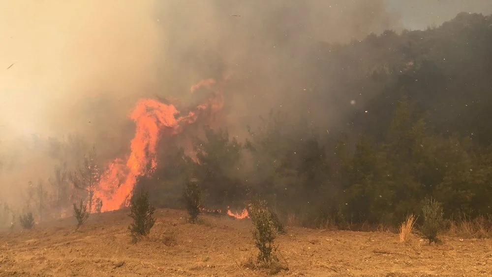 Adana Karaisalı’da Orman Yangını Çıktı