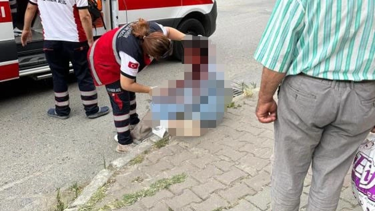 Ataşehir’de Köpek Dehşeti: Kadın Yaralandı, Sahibi Adliyeye Sevk Edildi