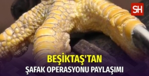 Beşiktaş’tan Şafak Operasyonu
