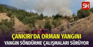 Çankırı'da Orman Yangını Çıktı
