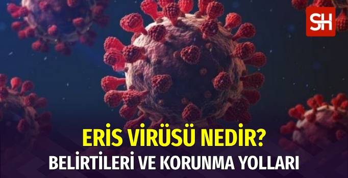 Eris Virüsü Nedir? Belirtileri ve Korunma Yolları