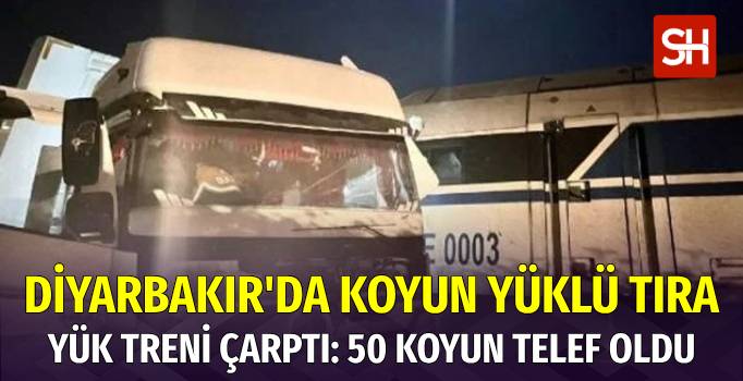 Diyarbakır’da Tren-TIR Çarpışması: Sürücü Ağır Yaralı, 50 Koyun Telef