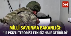 Saldırı Hazırlığındaki 12 PKK'lı Etkisiz Hale Getirildi