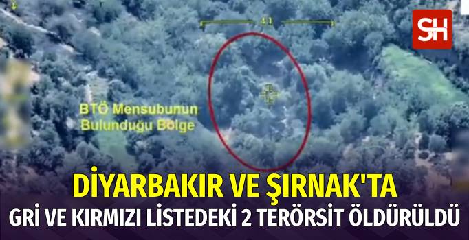 Şırnak ve Diyarbakır’da 2 Terörist Etkisiz Hale Getirildi