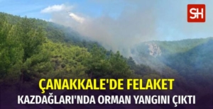 SON DAKİKA: Kazdağları'nda Orman Yangını Çıktı