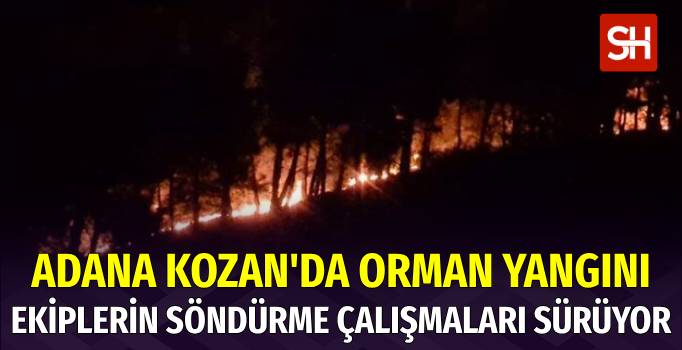 Adana'nın Kozan İlçesinde Orman Yangını