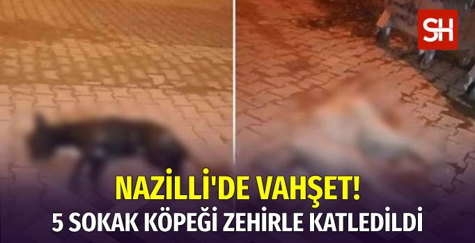 Nazilli'de 5 Sokak Köpeği Katledildi