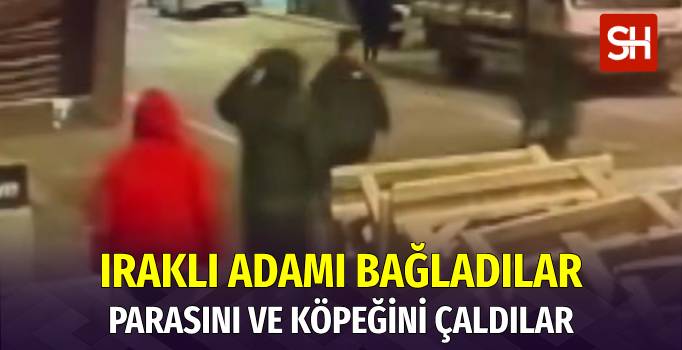 İstanbul Avcılar'da Iraklı Adamın Parasını ve Köpeğini Çaldılar